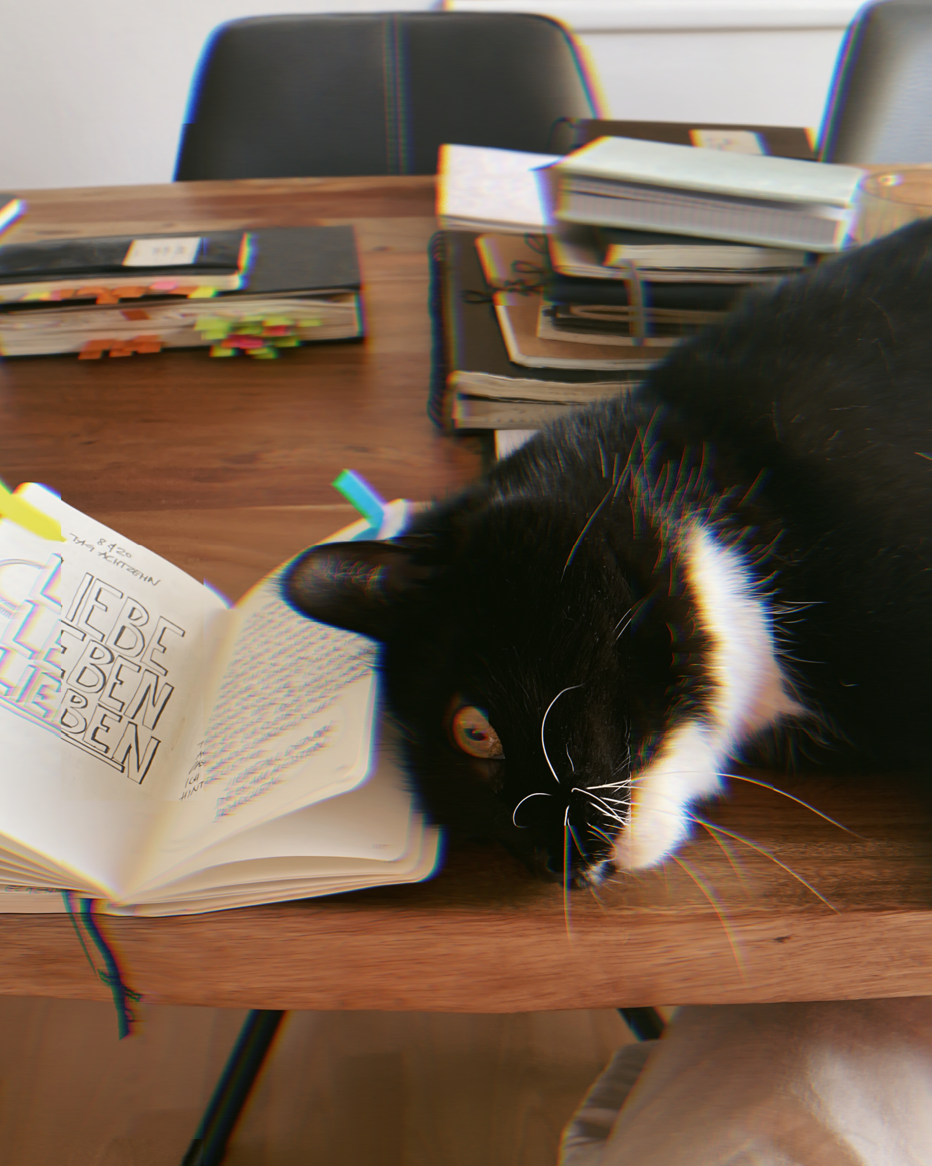 für schritt um welle nach Moment Vorbereitungen, Notizbücher, erste Testdrucke, hinter den Kulissen, making of